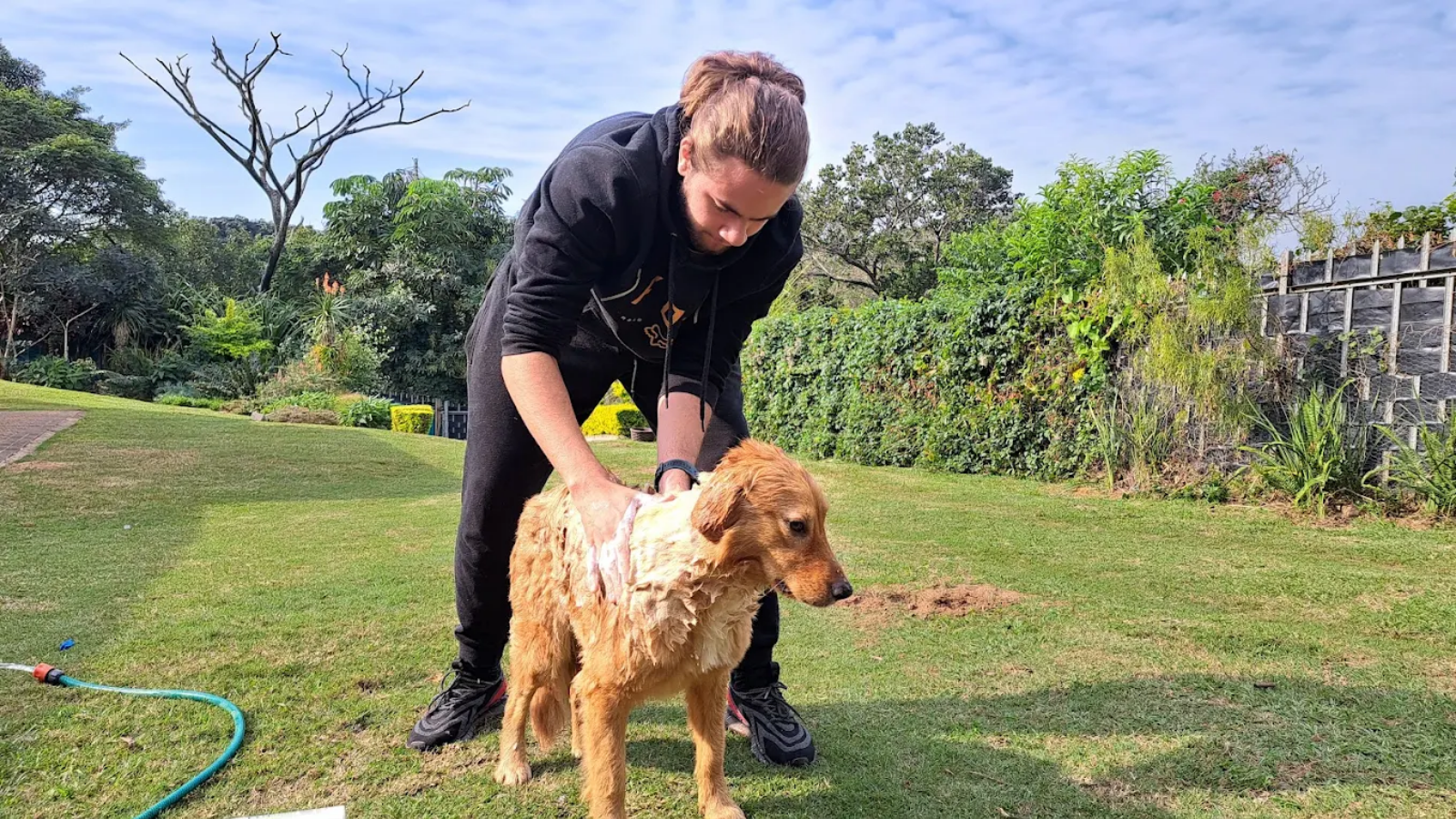 Seth, BarkMobile groomer, washing a dog on the South Coast